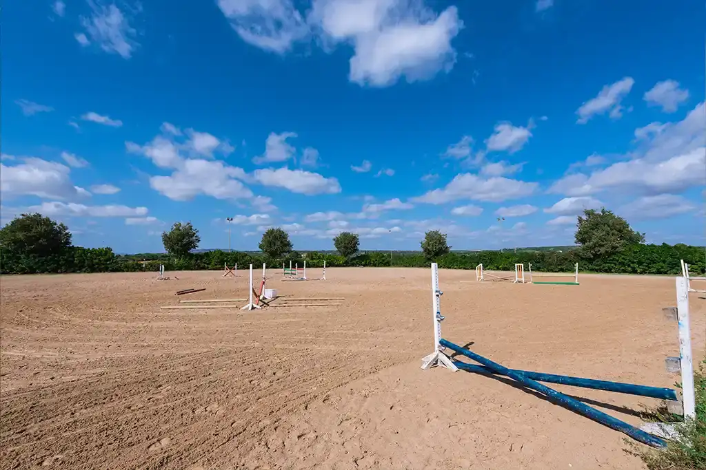 Instalaciones de la Hípica Sa Caseta en Manacor (foto 2 de 18)