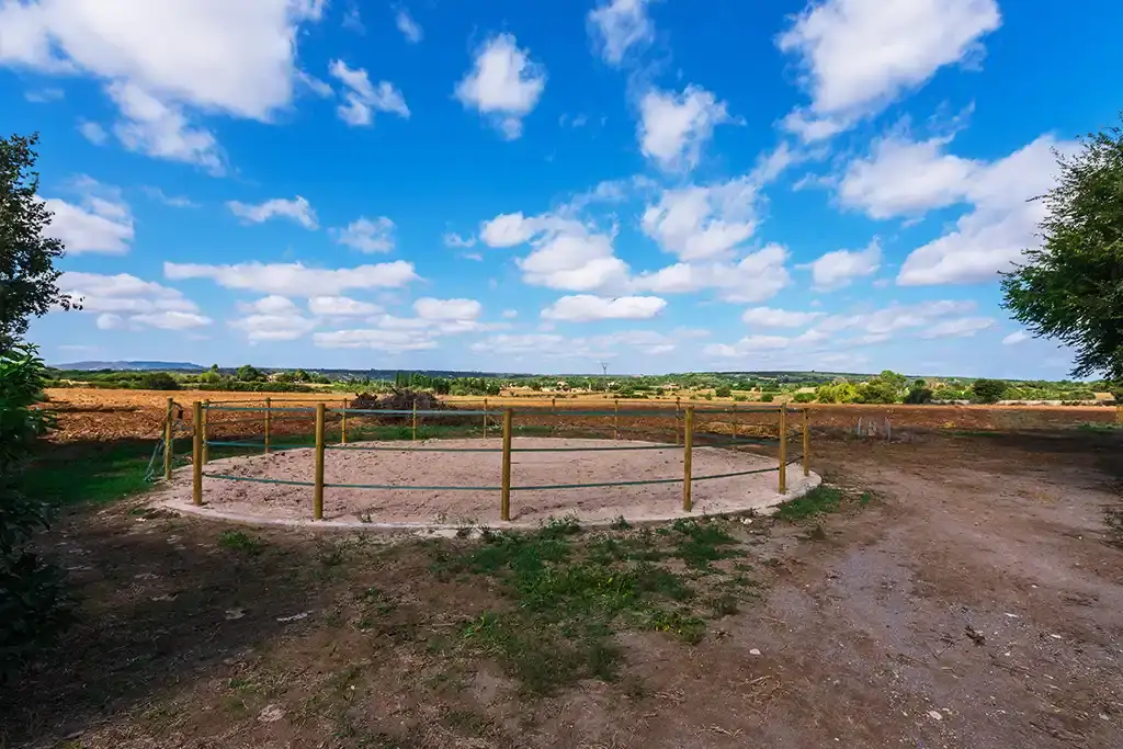 Instalaciones de la Hípica Sa Caseta en Manacor (foto 3 de 18)
