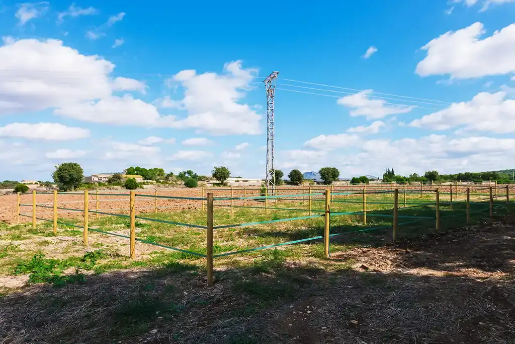 Instalaciones de la Hípica Sa Caseta en Manacor (foto 4 de 18)