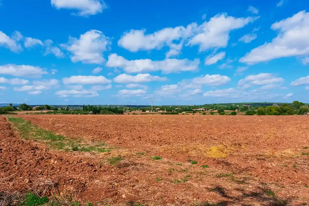 Instalaciones de la Hípica Sa Caseta en Manacor (foto 5 de 18)