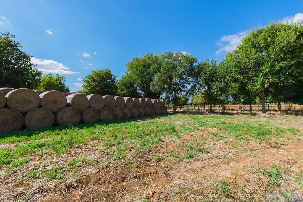 Instalaciones de la Hípica Sa Caseta en Manacor (foto 9 de 18)