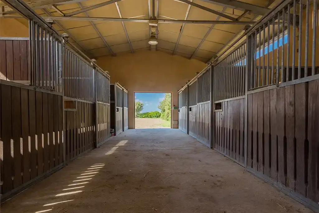 Instalaciones de la Hípica Sa Caseta en Manacor (foto 16 de 18)