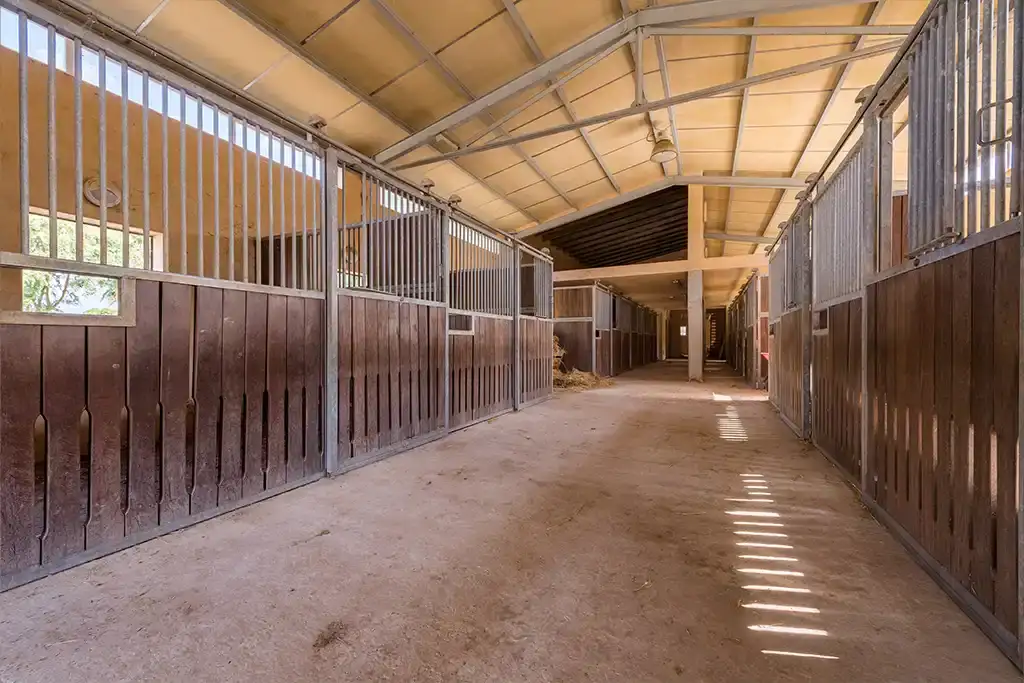 Instalaciones de la Hípica Sa Caseta en Manacor (foto 17 de 18)