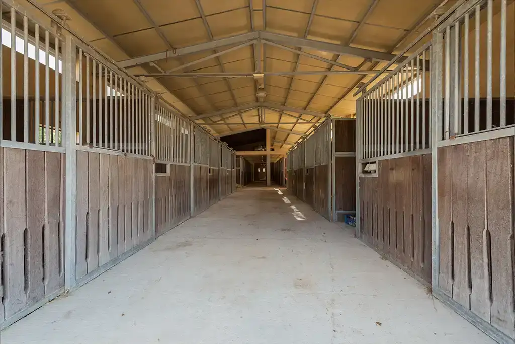 Instalaciones de la Hípica Sa Caseta en Manacor (foto 18 de 18)