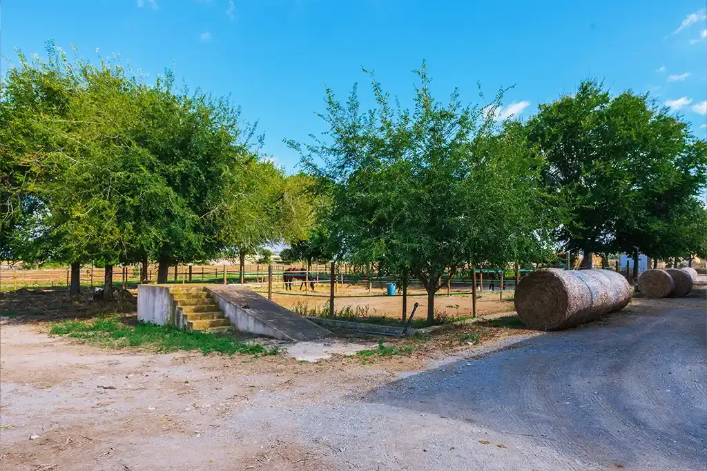 Instalaciones de la Hípica Sa Caseta en Manacor (4/6)