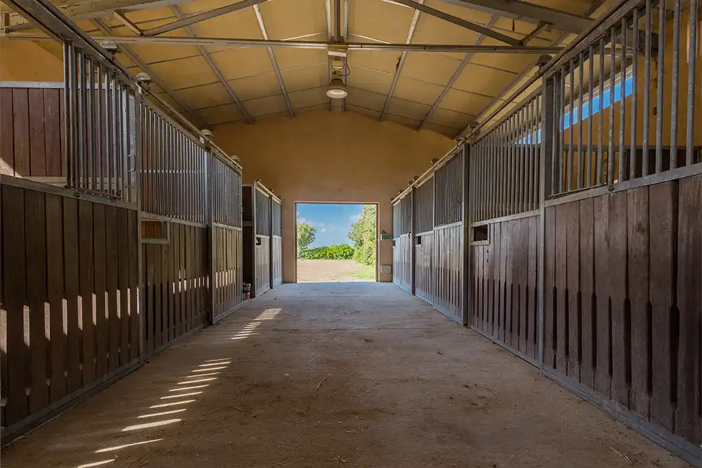 Nuestras instalaciones Sa Caseta - Hípica Manacor
