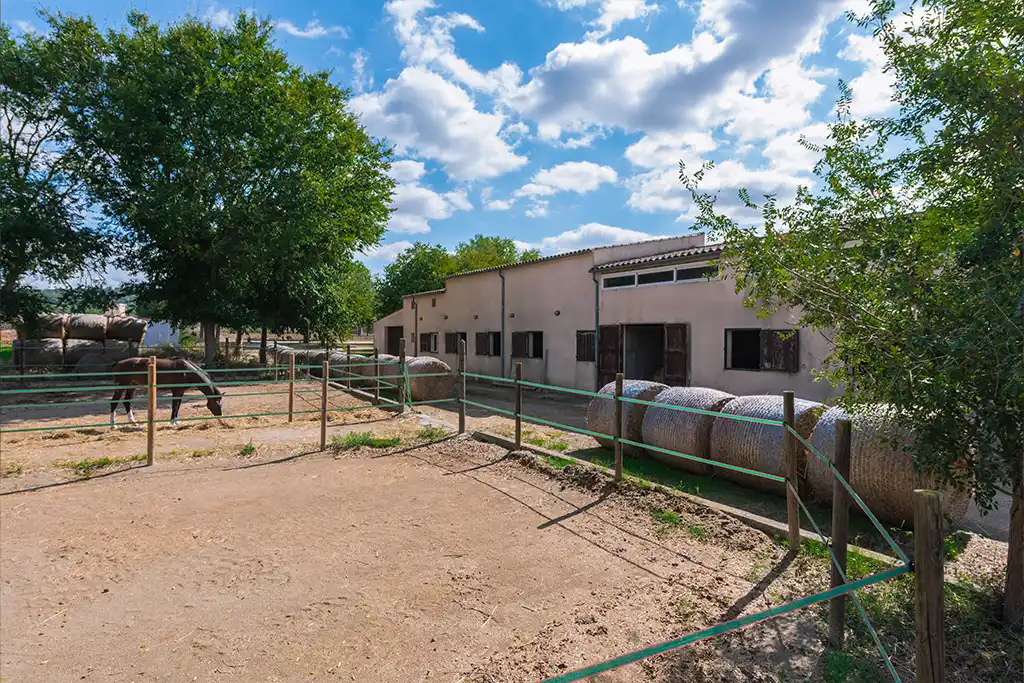Nuestras instalaciones Sa Caseta - Hípica Manacor