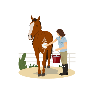 Trato familiar - SA Caseta Hípica Manacor